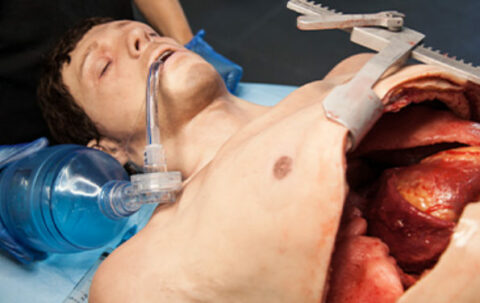 Thoracotomy-task-trainer-3-595x375